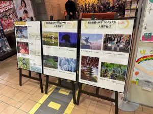 <span class="title">【お知らせ】2月2日（月）～東根市役所にて「関山街道の四季フォトコンテスト」入選作品展を開催中ですコンテスト2025』の写真パネル展示（山形県東根市ロビー）を開催</span>